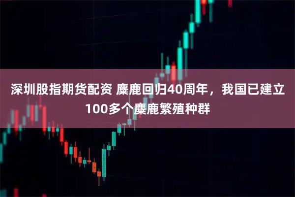 深圳股指期货配资 麋鹿回归40周年，我国已建立100多个麋鹿繁殖种群
